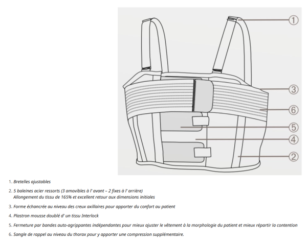 Ceinture Digithorax