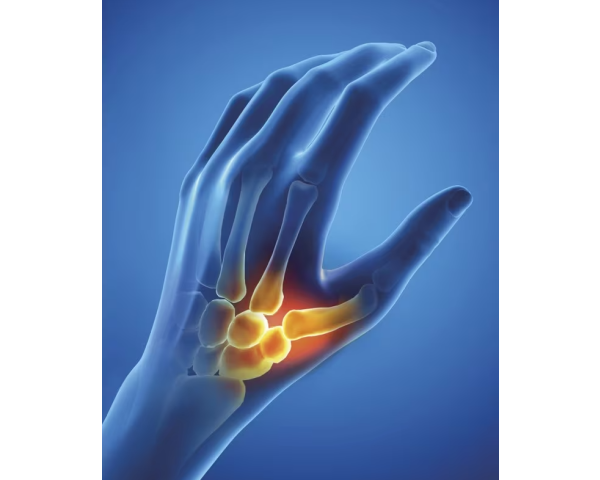 Orthèse Pouce Souple Epitact