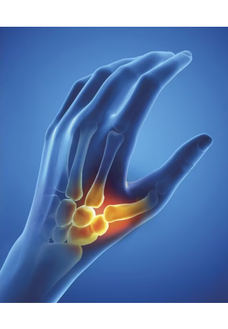 Orthèse Pouce Souple Epitact