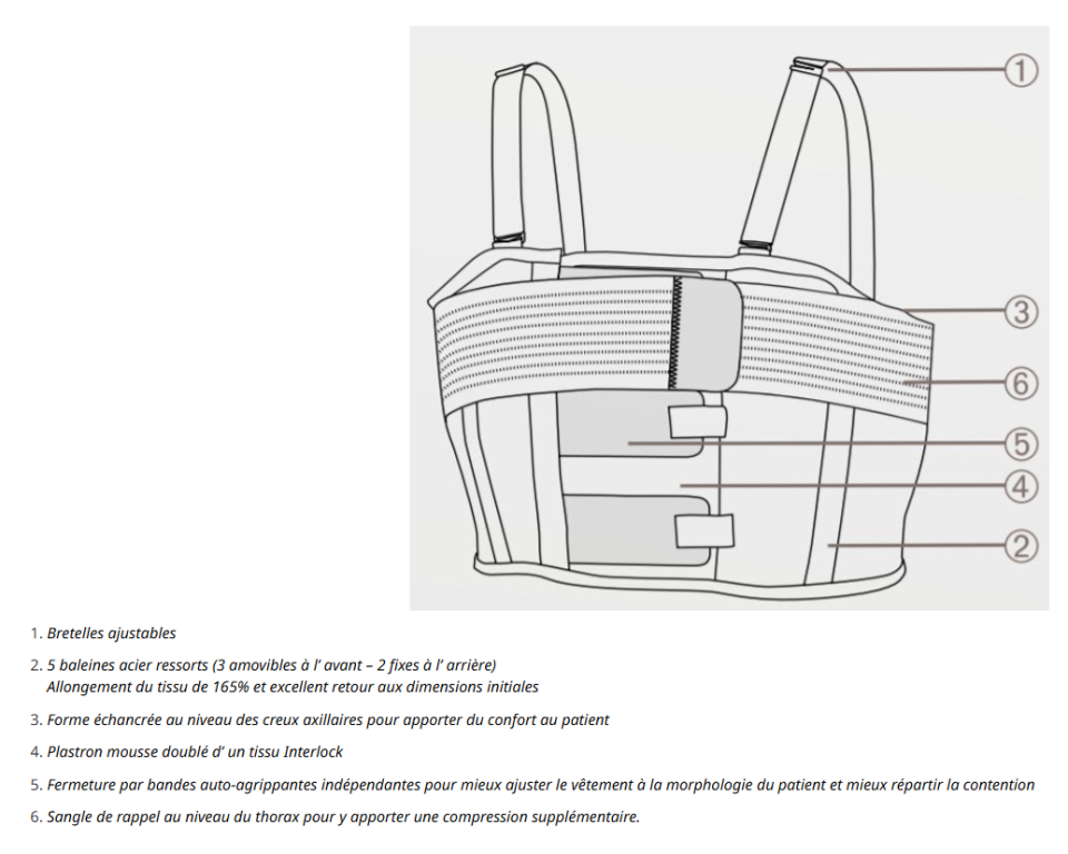 Ceinture Digithorax