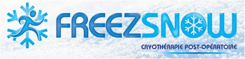 logo Freeznow