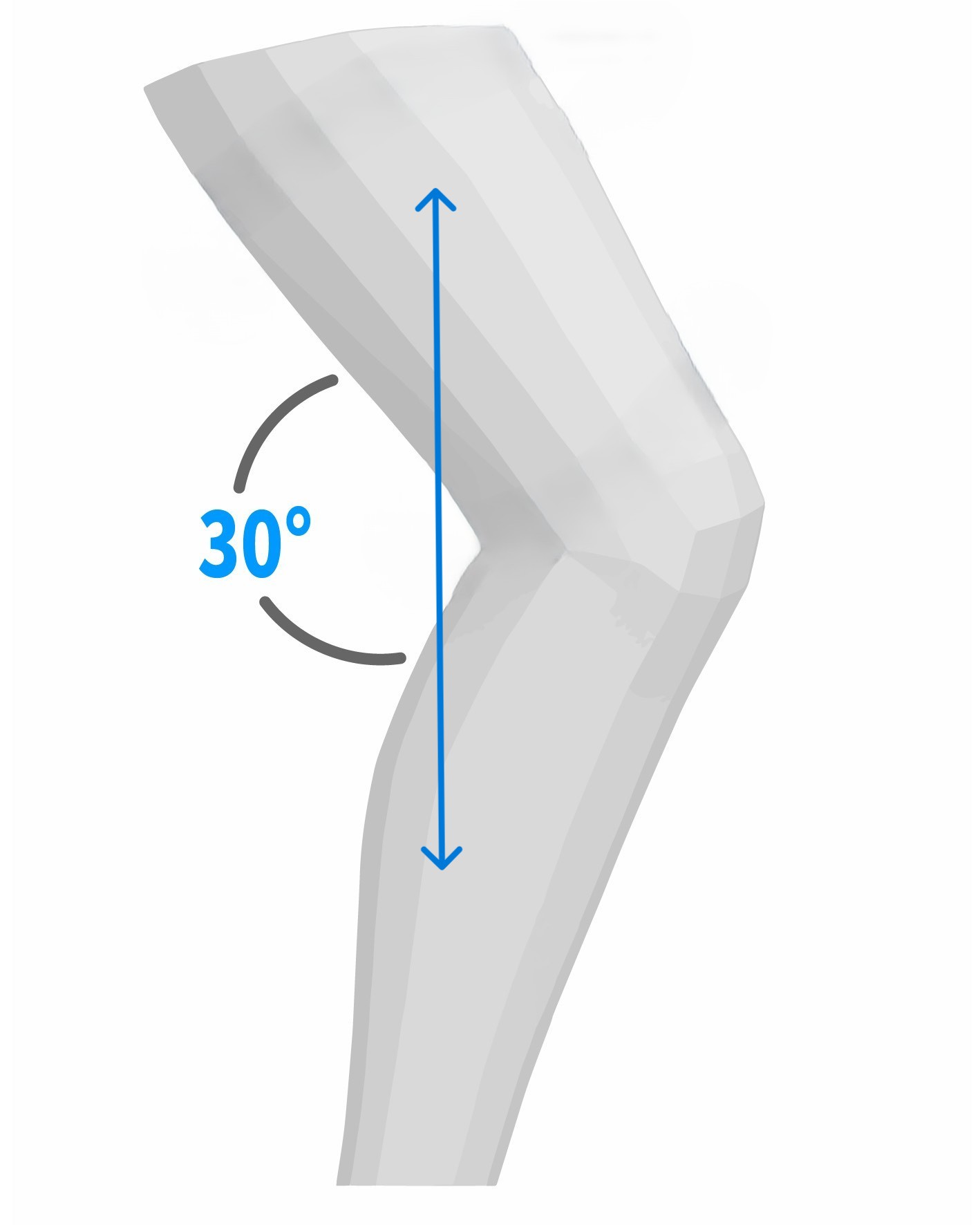 Longueur cuisse-mollet